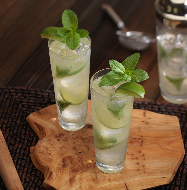 Mojito Tequila